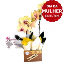 Orquídea Amarela Dia da Mulher
