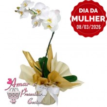 Orquídea Branca