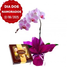 Orquídea C/ Caixa Ferrero Collection