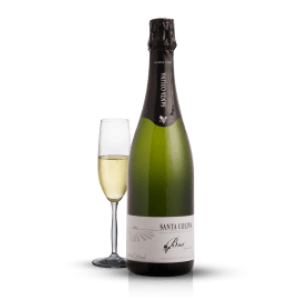Espumante Salton