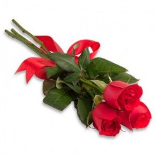Arranjo 2 Rosas