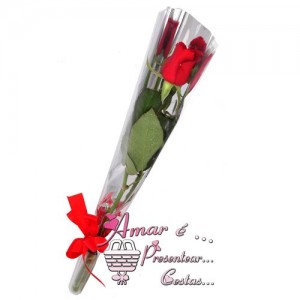 Botão de Rosa Botão de Rosa