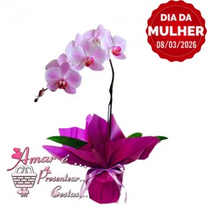 Orquídea Lilás