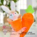 Coelho  Pelucia Cenourinha